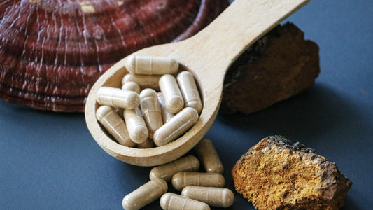 Best Mushrooms added to your supplement plan