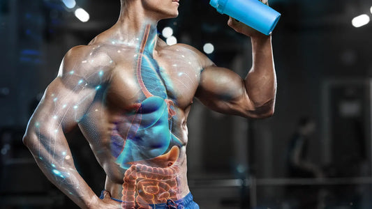 What’s So Special about Hydrolyzed Protein?